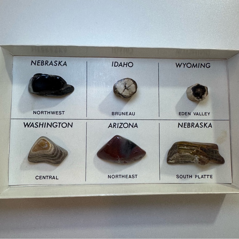 Collection Of Petrified Wood Ogallala, Nebraska